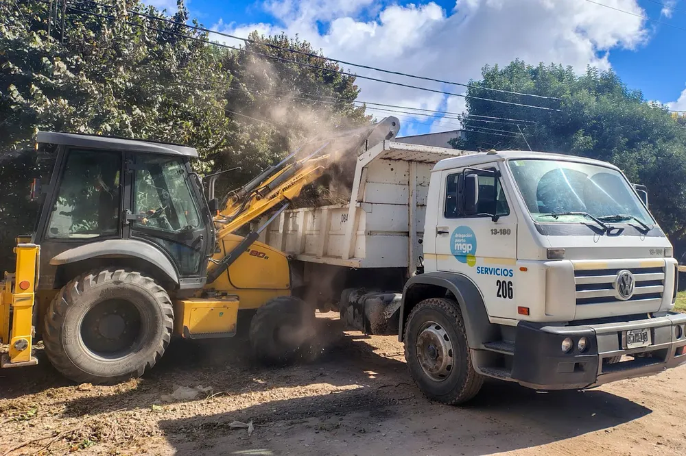 WhatsApp Image 2026-03-20 at 08.53.18